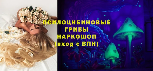 скорость Няндома
