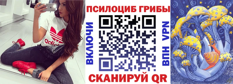 KRAKEN   купить наркотик  Приморско-Ахтарск  Галлюциногенные грибы мухоморы 