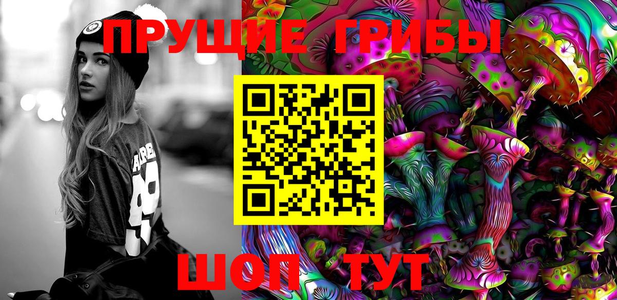 Галлюциногенные грибы прущие грибы Приморско-Ахтарск