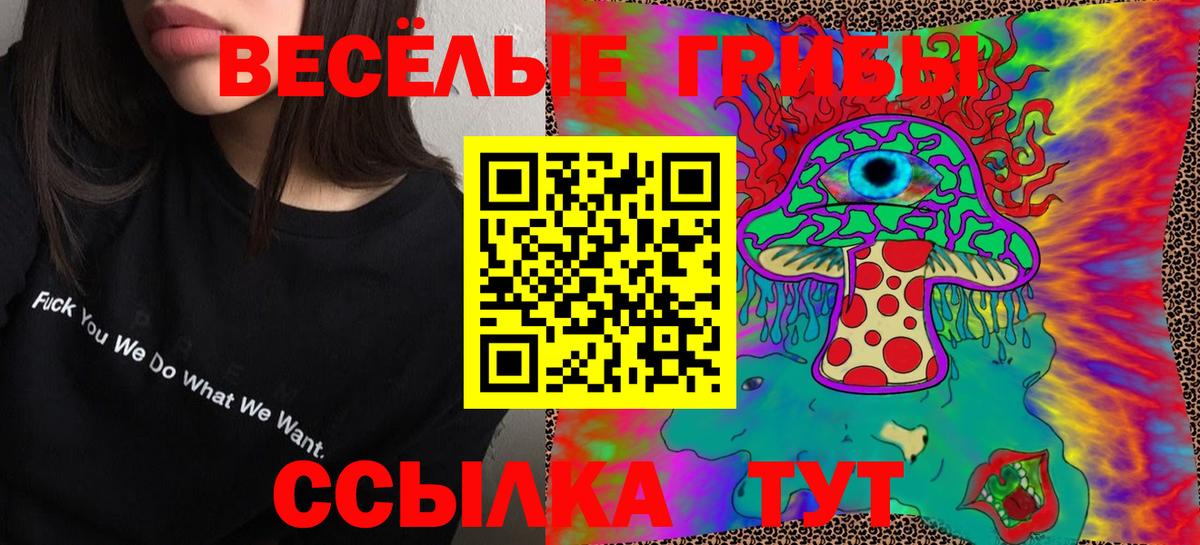 Псилоцибиновые грибы Magic Shrooms  сколько стоит  Приморско-Ахтарск  Вход с VPN 